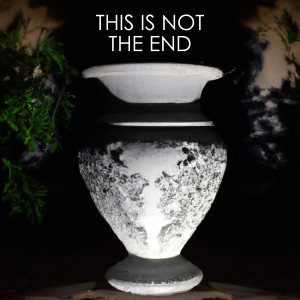 Eine alte weiße Vase mit Gravuren, die sich vor Pflanzen befindet. Über ihr steht der Text This is not the end.